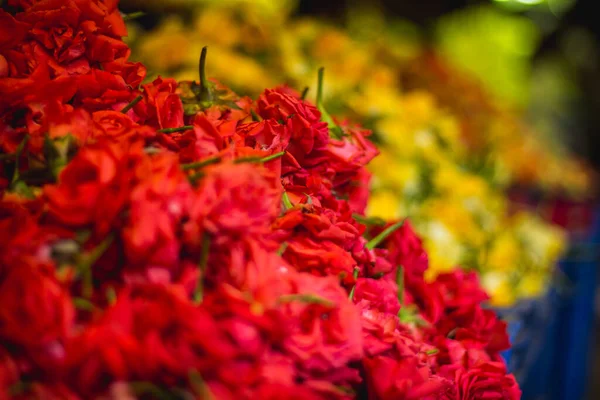 Röda Rosor Och Gula Rosenblad Marknaden Färgglada Blommor Blomstermarknaden Hålls — Stockfoto