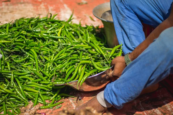 Ingefära Och Grön Chili Visas Upp Marknaden Indien Ingefära Till — Stockfoto