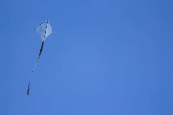 Kite fly in the wind. Kite Flying against Sky isolated on blue Background.