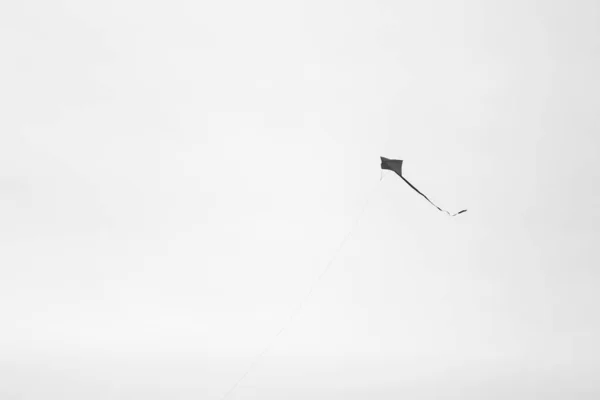 Kite Fly Wind Kite Flying Sky Isolated Background — Stock Photo, Image