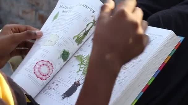 Meisje Kind Leest Een Boek Outdoor Meisje Student Zitten Leren — Stockvideo