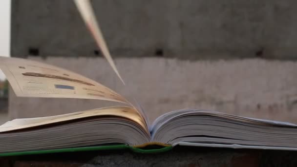 本は屋外にあり ページは風のために自分自身を回します 本のページの映像は風をオンにする — ストック動画