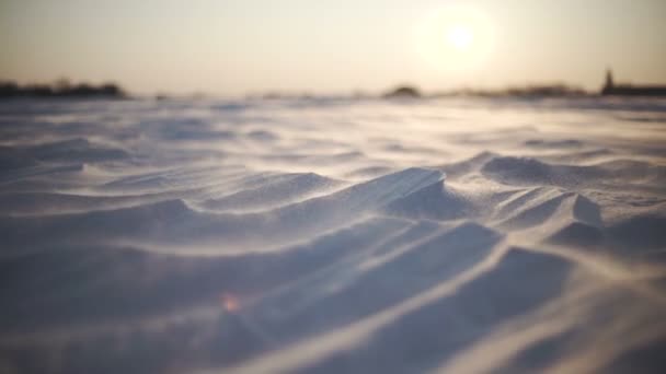 Αρκτική καταιγίδα κοντά πλάνο της χιονοθύελλας στο ηλιοβασίλεμα — Αρχείο Βίντεο