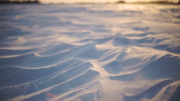 Arktické bouře zblízka záběr sněhové bouře při západu slunce — Stock video