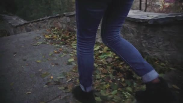 Zblízka ženy nohy procházky v parku — Stock video