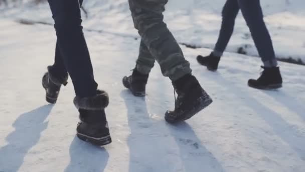 Voeten wandelen in de sneeuw vrienden wandelen op sneeuw weg — Stockvideo
