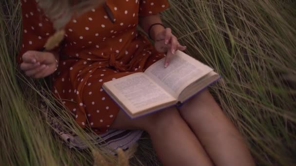 Happy young woman in field of spikelets and wheat with book — Stock Video