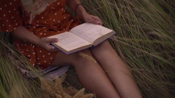 Dikenli tarlada mutlu genç bir kadın ve kitaplı buğday. — Stok video