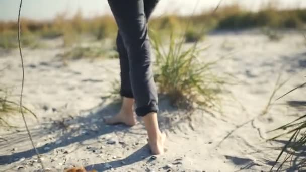 Donna turistica che cammina sulla spiaggia nella giornata di sole — Video Stock