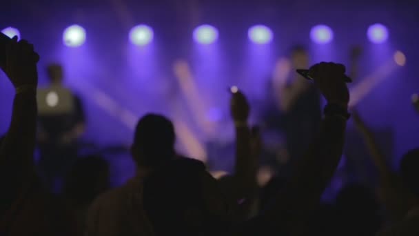 Imágenes de una multitud festejando en una fiesta de DJ — Vídeo de stock