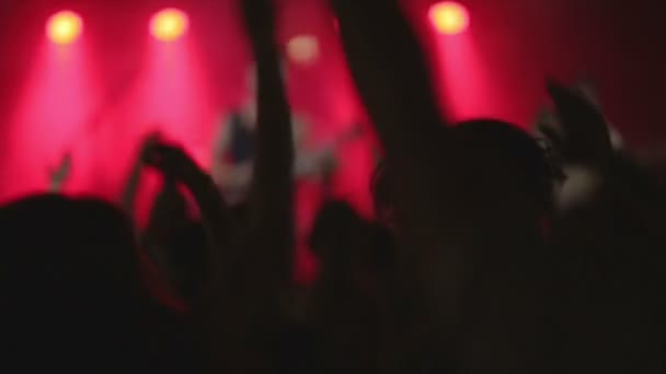 Aufnahmen einer Menge, die auf einer DJ-Party feiert — Stockvideo
