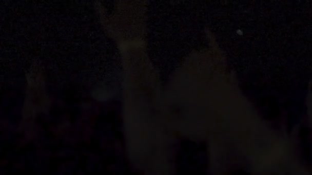 Две женщины-диджея играют музыку на пульте в ночном клубе — стоковое видео