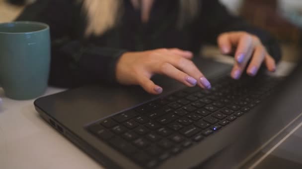 Mani delle donne digitando sulla tastiera del computer — Video Stock