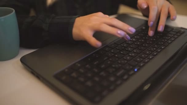 女性の手コンピュータキーボードを入力します。 — ストック動画