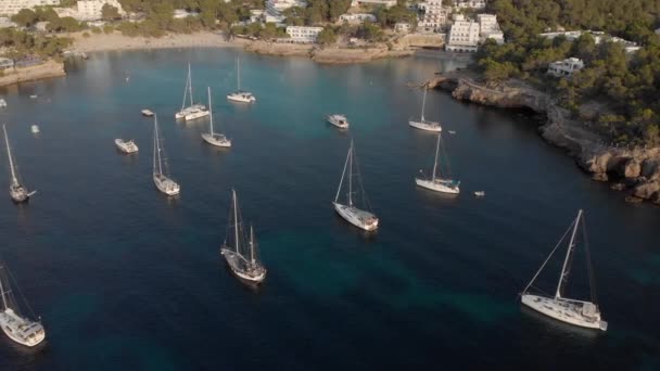Vista aérea de muchos yates en una bahía en la isla de ibiza — Vídeos de Stock