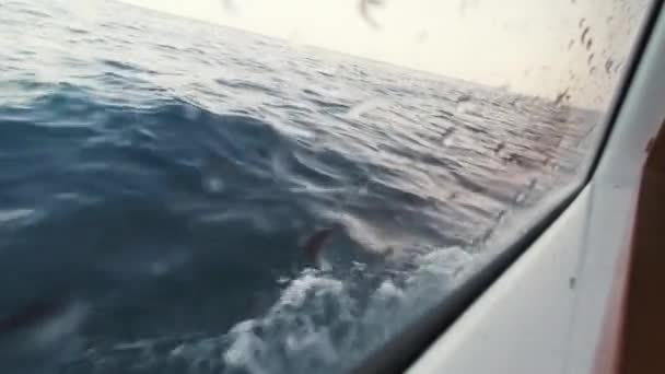 Vista do pórtico de um iate sobre as ondas no mar — Vídeo de Stock