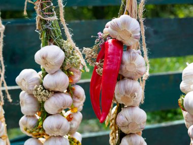 berros y macetas de turba