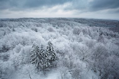 Karlı kış ormana havadan görünümü