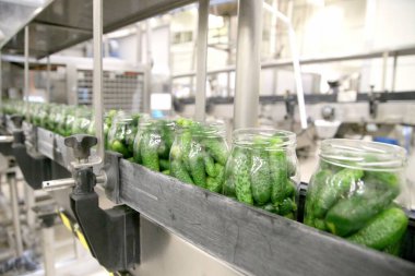Fabrika, Salatalık Vakum Hattı, Taşıyıcı. Litvanya 'da flört, Kedainiai. Vikonda