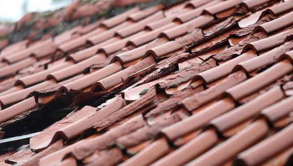 Old tile roof over rain Lithuania