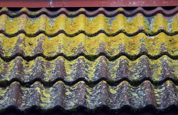 Old tile roof over rain Lithuania