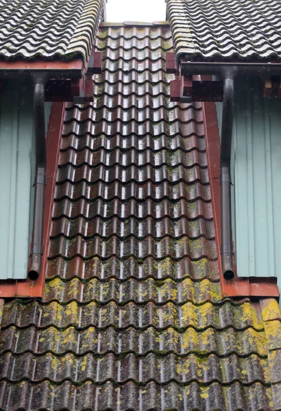 Techo Teja Vieja Sobre Lluvia Lituania —  Fotos de Stock