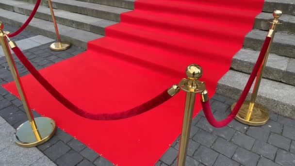 Elegante Alfombra Roja Larga Los Amplios Escalones Del Edificio Histórico — Vídeos de Stock