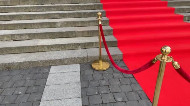 歴史的建造物の広い階段にエレガントな長い赤いカーペット — ストック動画