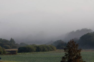 Güneş ışınları ormandaki sabah sisini delip geçiyor..