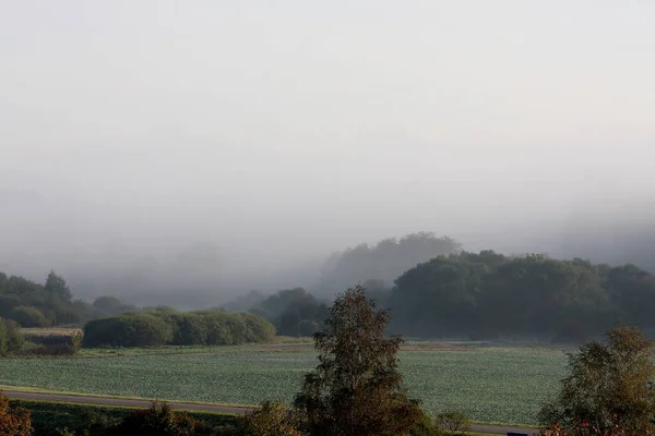 Промені Сонячного Світла Проникають Ранковий Туман Лісі — стокове фото