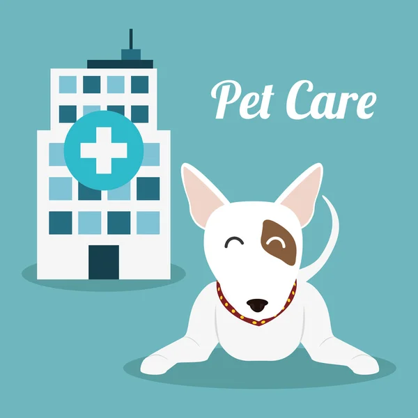 Ícones de serviço pet care center — Vetor de Stock