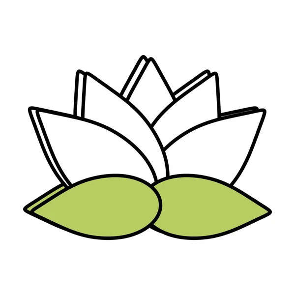 Spa flower lotus isolated icon — ストックベクタ