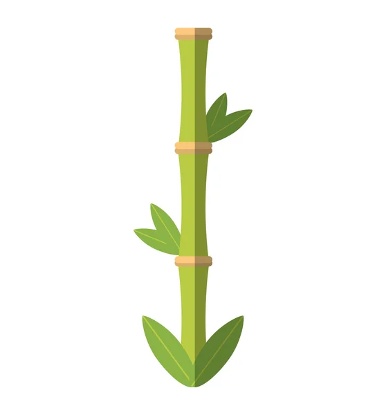 Planta de bambú spa aislado icono — Vector de stock
