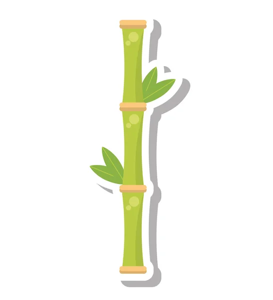 Bambusz növény spa elszigetelt ikon — Stock Vector