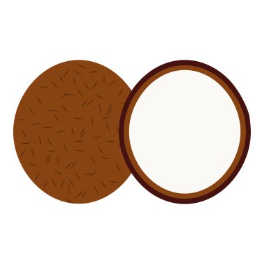 Hindistan cevizi tropikal meyve izole simgesi