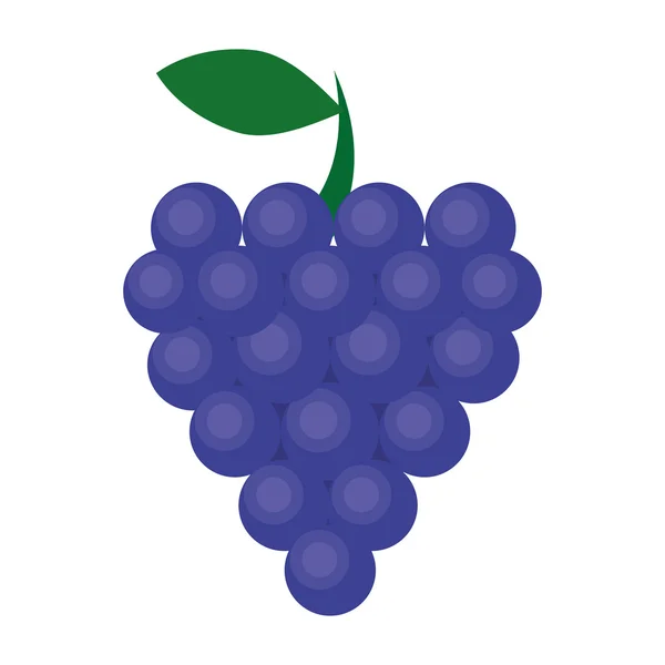 Grapes healthy fruit icon — Stock Vector