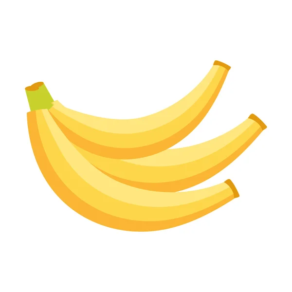 Banana tropical fruit icon — Stock Vector