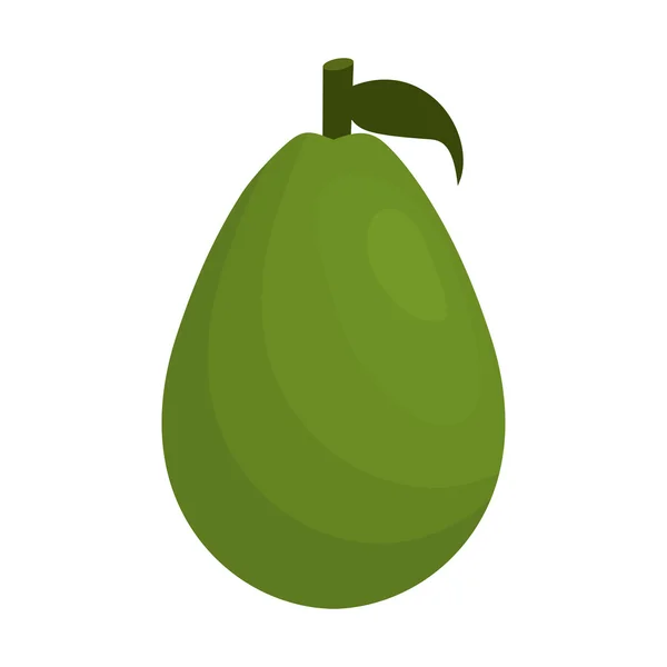Avocado vegetable healthy icon — Stock vektor