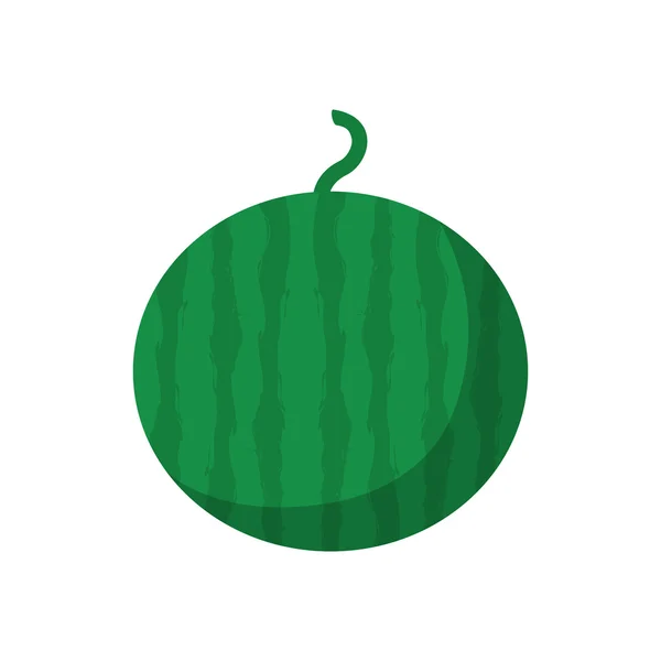 Görögdinnye friss gyümölcs izolált ikon — Stock Vector