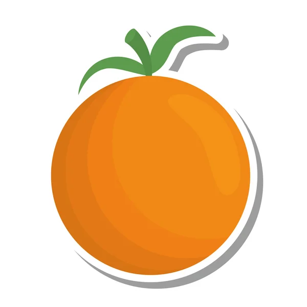 Απομονωμένο εικονίδιο εσπεριδοειδών πορτοκαλιού — Διανυσματικό Αρχείο