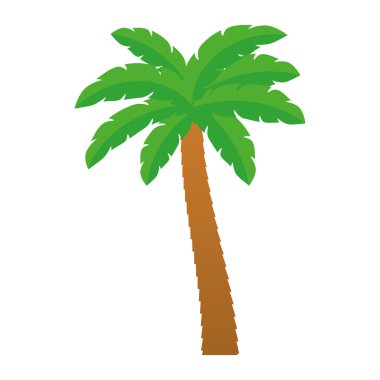 Palm tropik ağaç izole simgesi