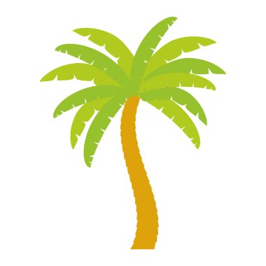 Palm tropik ağaç izole simgesi