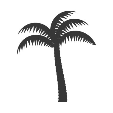 Palm tropik ağaç izole simgesi