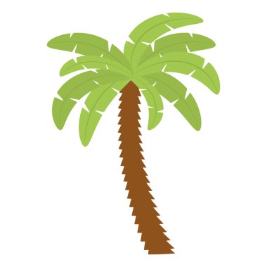 Palm tropik ağaç izole simgesi