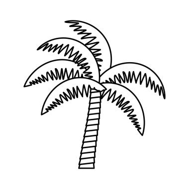Palm tropik ağaç izole simgesi