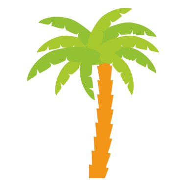 Palm tropik ağaç izole simgesi