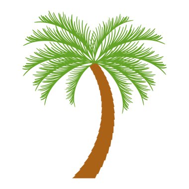 Palm tropik ağaç izole simgesi