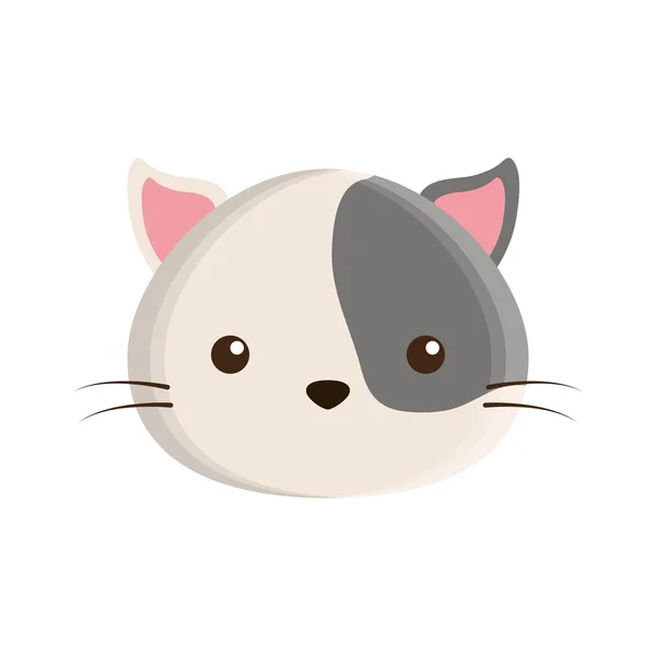 Mignon chat mascotte icône isolée — Image vectorielle