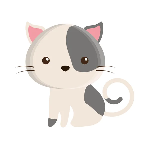 Mascote gato bonito ícone isolado — Vetor de Stock