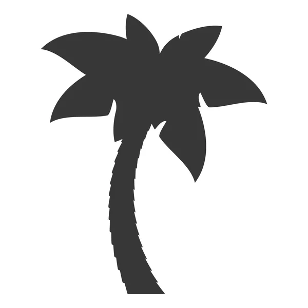 Palmier arbre tropical icône isolée — Image vectorielle